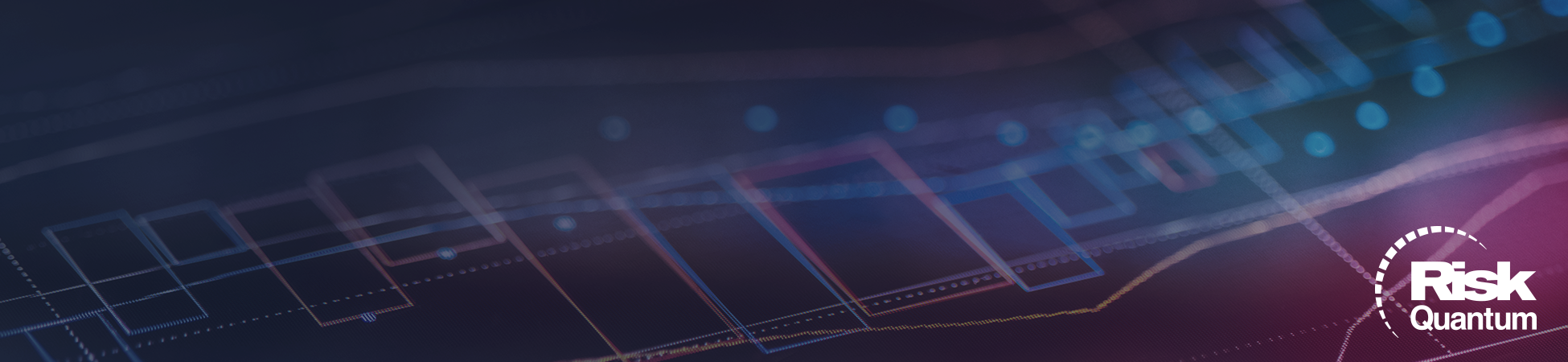 Risk Quantum Regulators